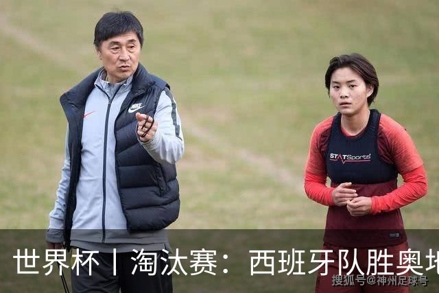 世界杯丨淘汰赛：西班牙队胜奥地利队