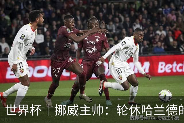 世界杯｜挪威主帅：轮休哈兰德的决定没问题